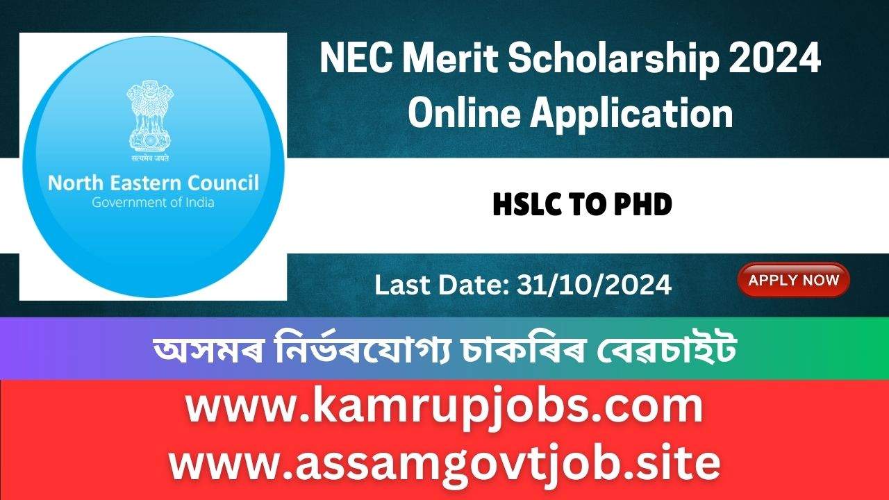 NEC Merit Scholarship 2024 – Submit Online Application